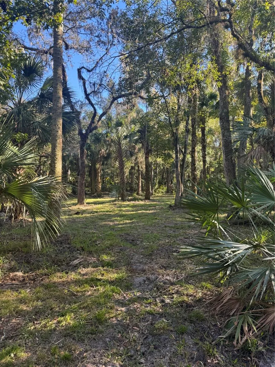 S COUNTY ROAD 13 Orlando, FL 32833