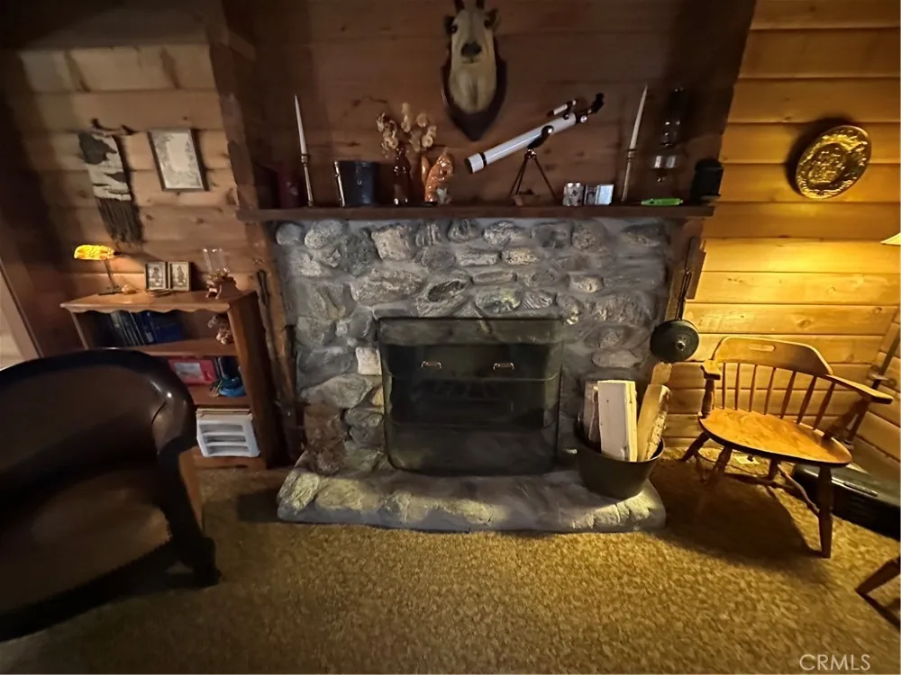41267 Valley Of The Falls Drive Forest Falls, CA 92339