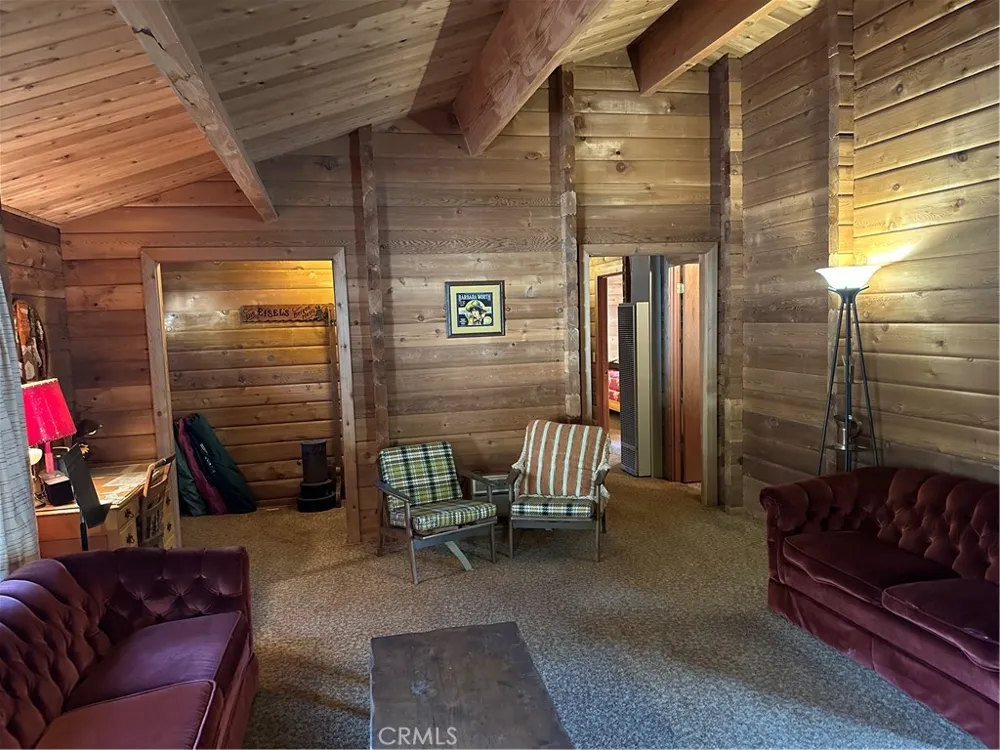 41267 Valley Of The Falls Drive Forest Falls, CA 92339
