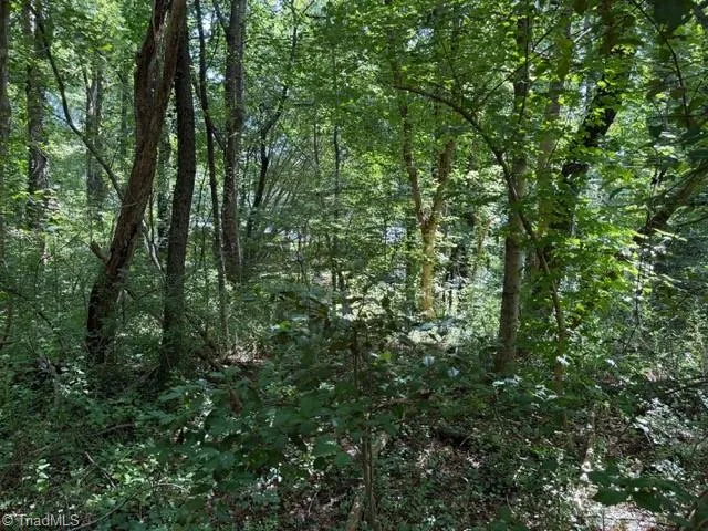 0 S Mineral Springs Drive Jonesville, NC 28642