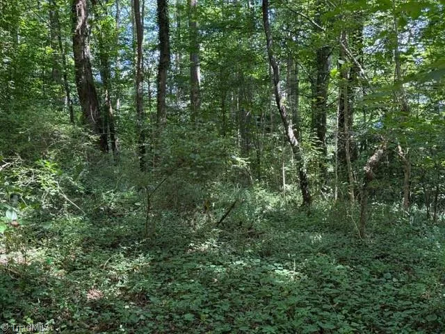 0 S Mineral Springs Drive Jonesville, NC 28642