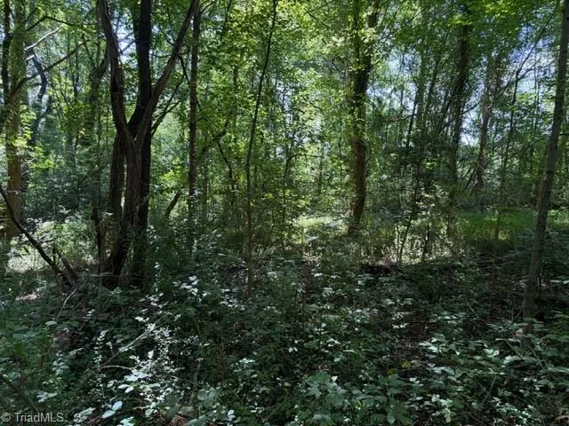 0 S Mineral Springs Drive Jonesville, NC 28642