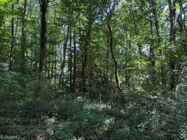 0 S Mineral Springs Drive Jonesville, NC 28642