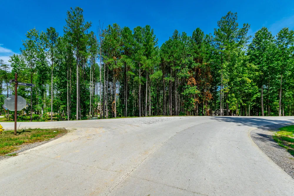 Birds Eye Way Guild, TN 37340