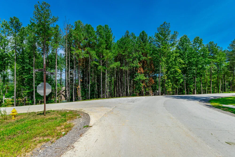 Birds Eye Way Guild, TN 37340