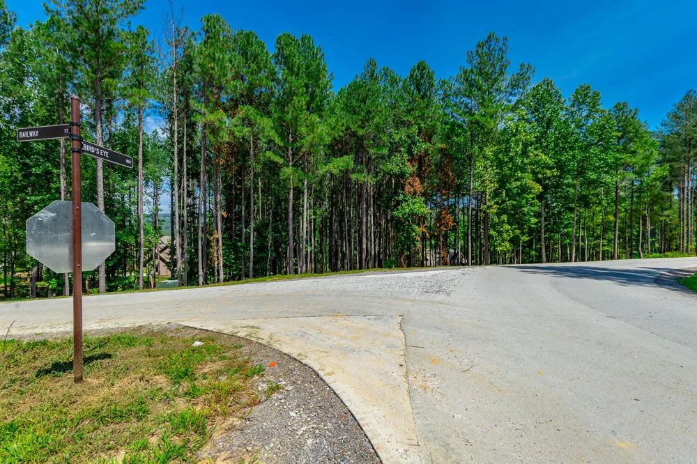 Birds Eye Way Guild, TN 37340