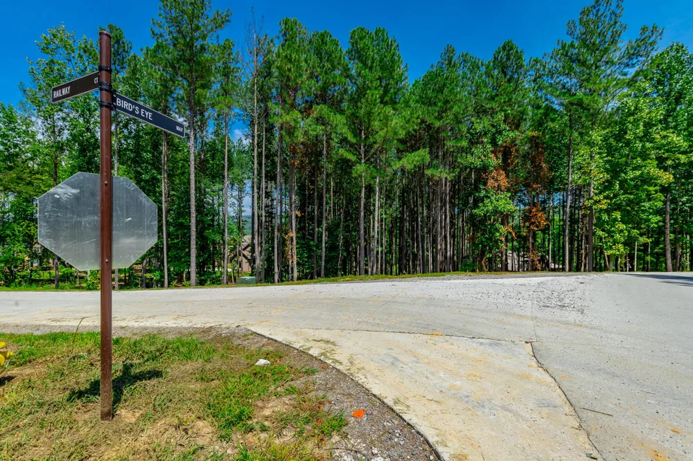 Birds Eye Way Guild, TN 37340