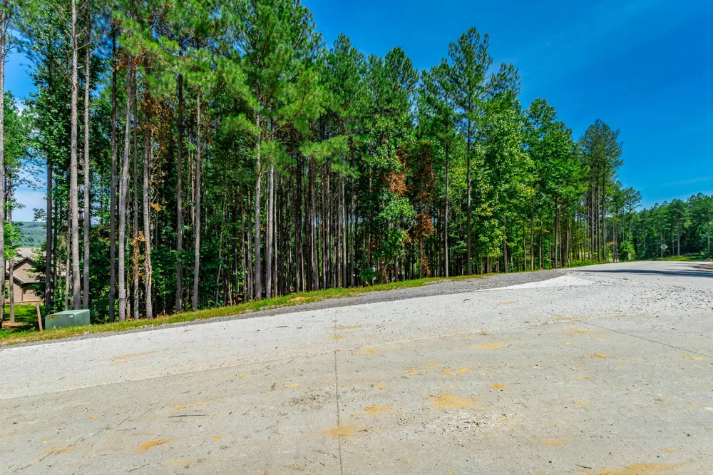 Birds Eye Way Guild, TN 37340