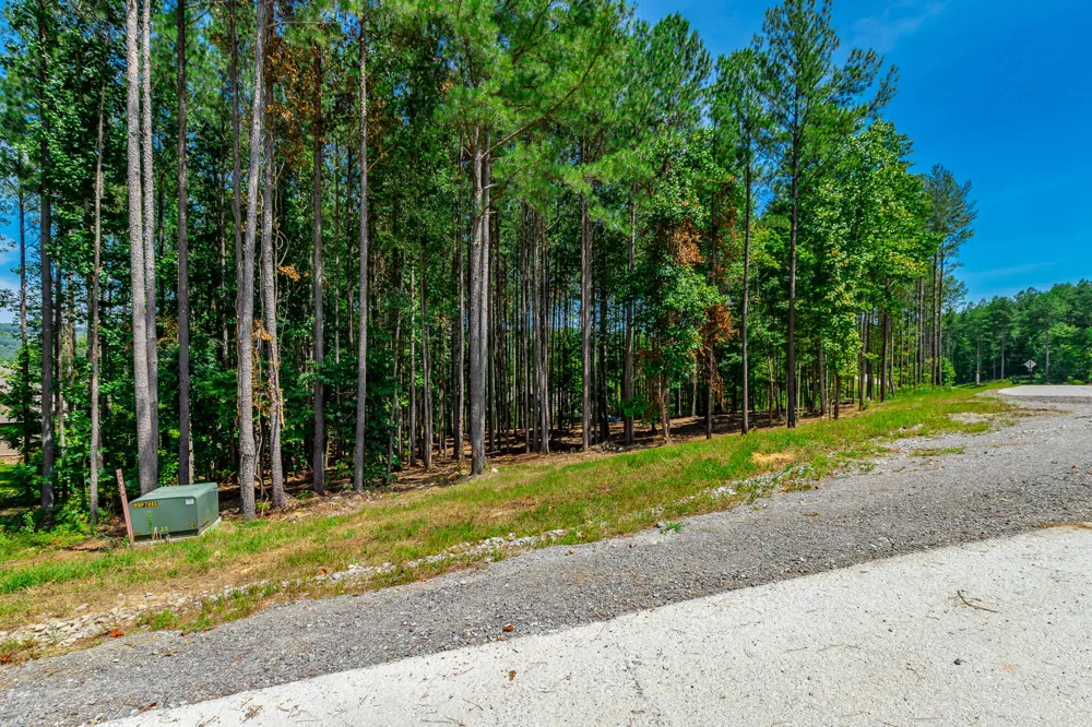 Birds Eye Way Guild, TN 37340