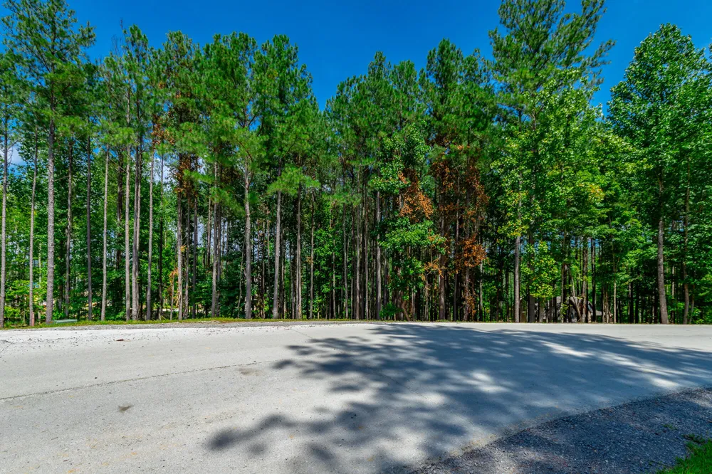 Birds Eye Way Guild, TN 37340