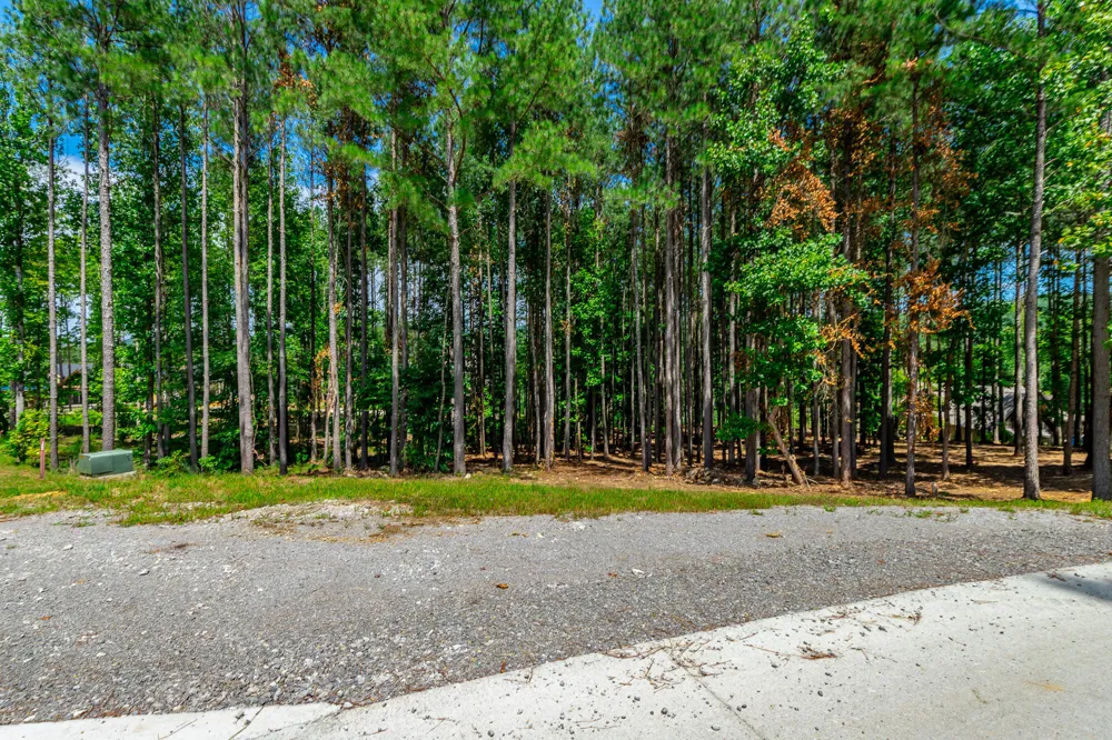 Birds Eye Way Guild, TN 37340
