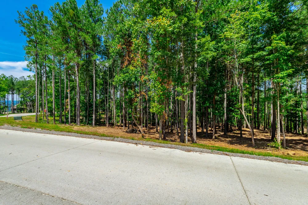 Birds Eye Way Guild, TN 37340