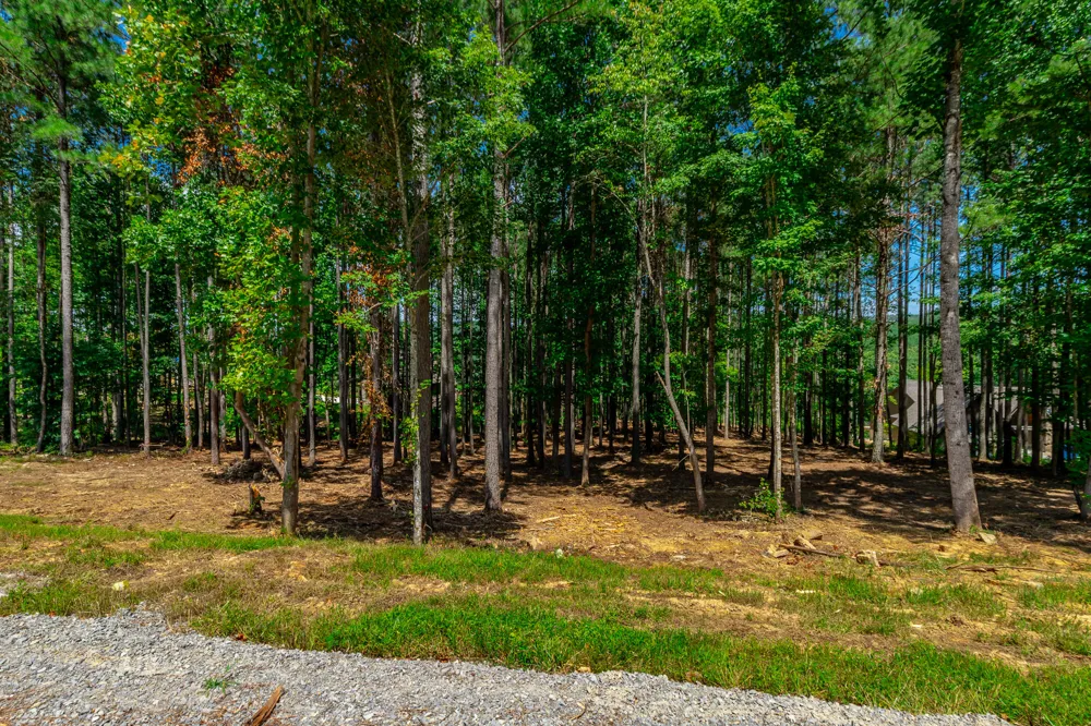 Birds Eye Way Guild, TN 37340