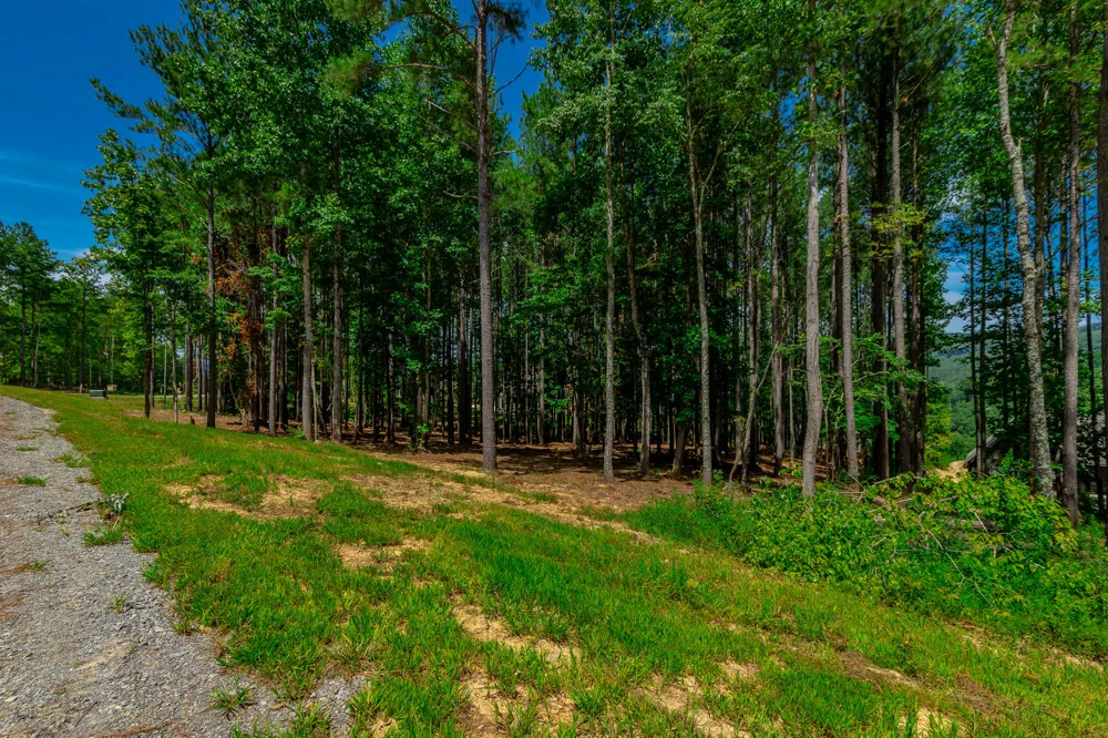Birds Eye Way Guild, TN 37340