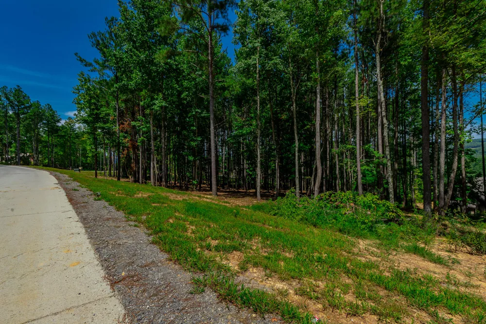 Birds Eye Way Guild, TN 37340