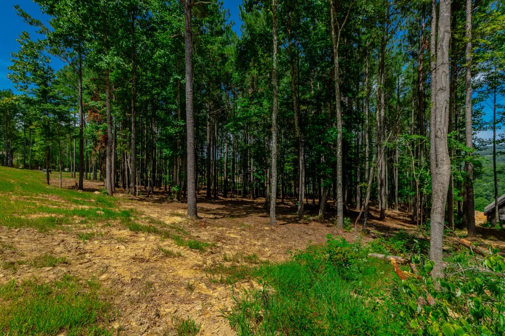 Birds Eye Way Guild, TN 37340