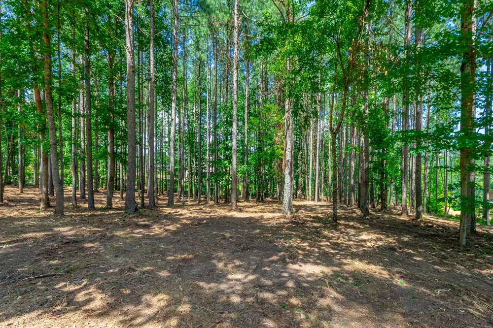 Birds Eye Way Guild, TN 37340