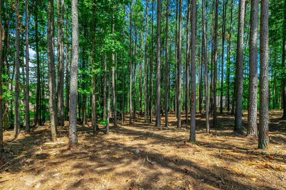 Birds Eye Way Guild, TN 37340