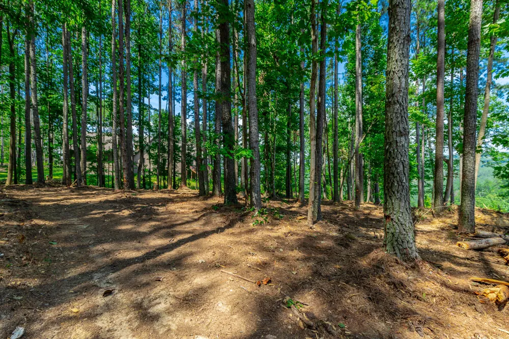 Birds Eye Way Guild, TN 37340