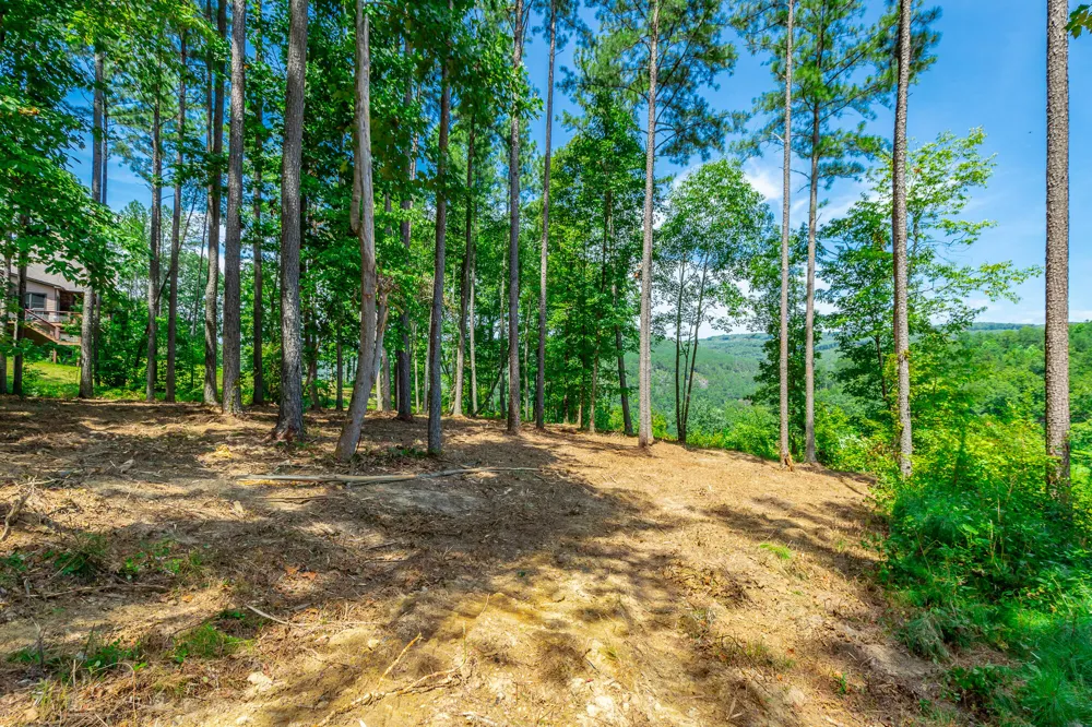 Birds Eye Way Guild, TN 37340