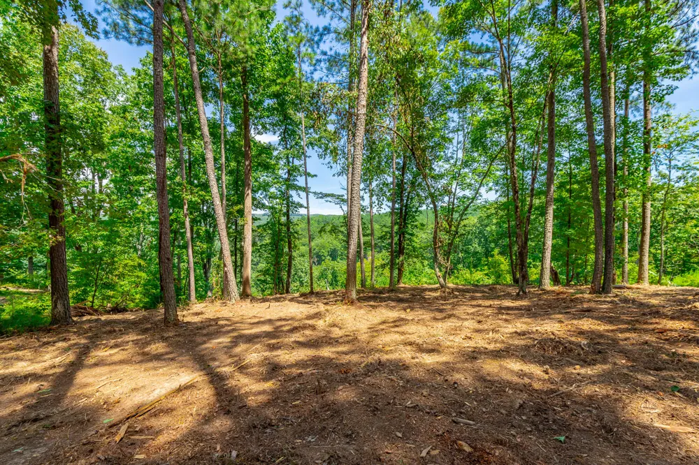 Birds Eye Way Guild, TN 37340