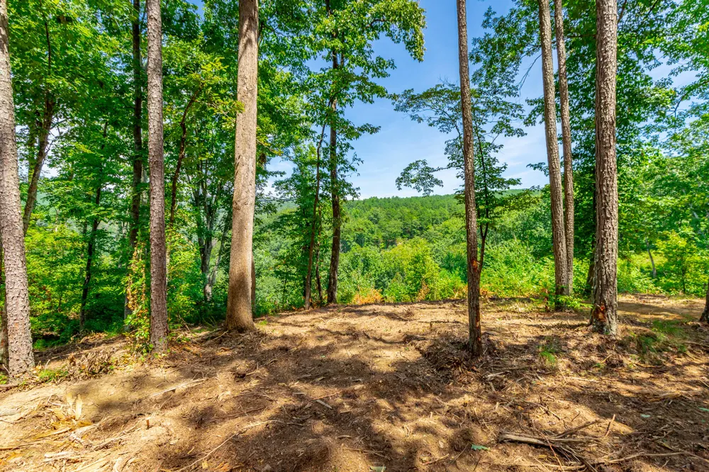 Birds Eye Way Guild, TN 37340