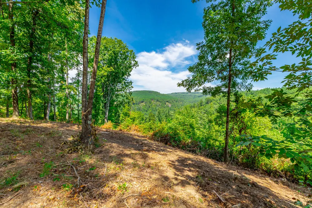 Birds Eye Way Guild, TN 37340