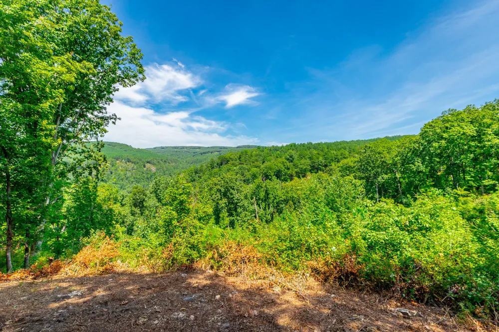 Birds Eye Way Guild, TN 37340