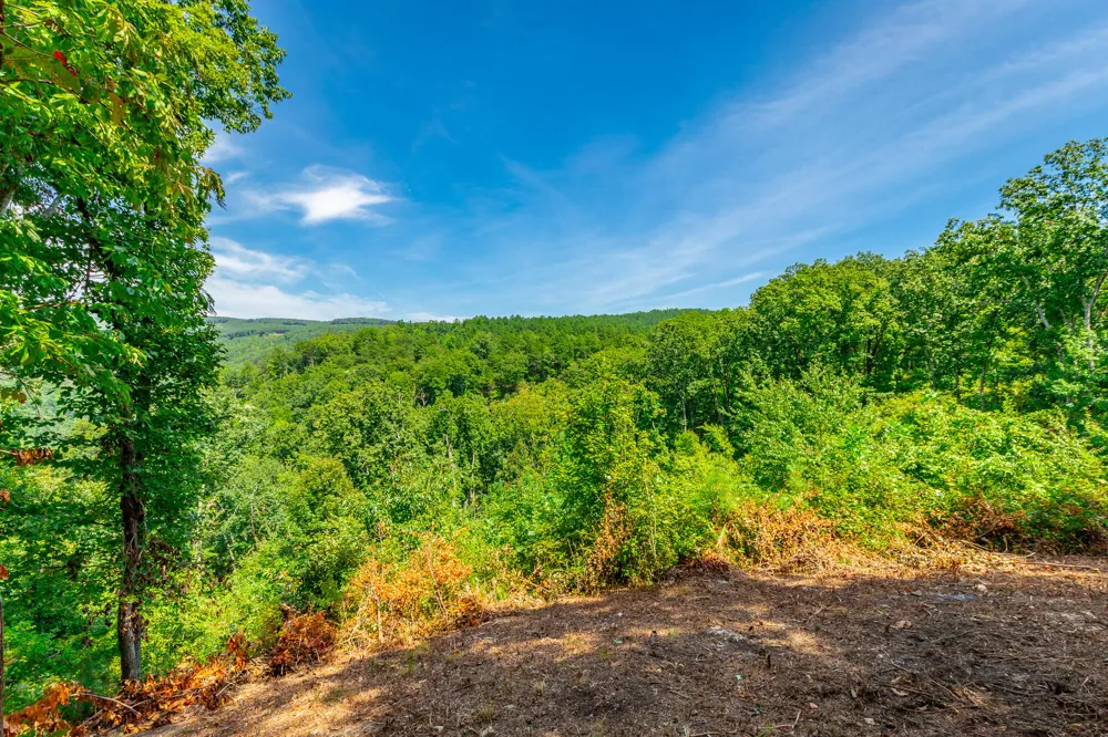 Birds Eye Way Guild, TN 37340