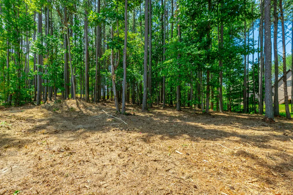 Birds Eye Way Guild, TN 37340