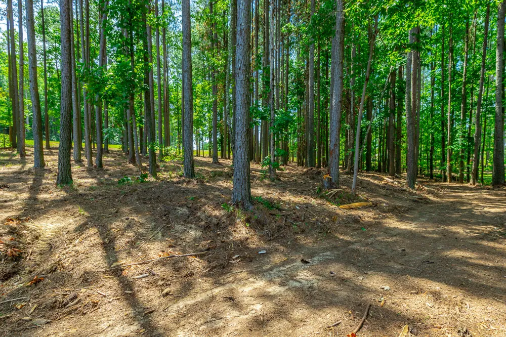 Birds Eye Way Guild, TN 37340