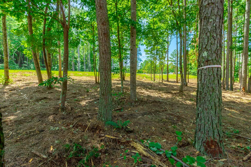 Birds Eye Way Guild, TN 37340