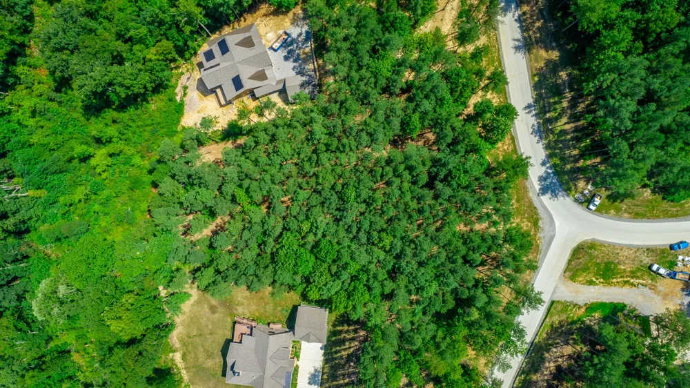 Birds Eye Way Guild, TN 37340