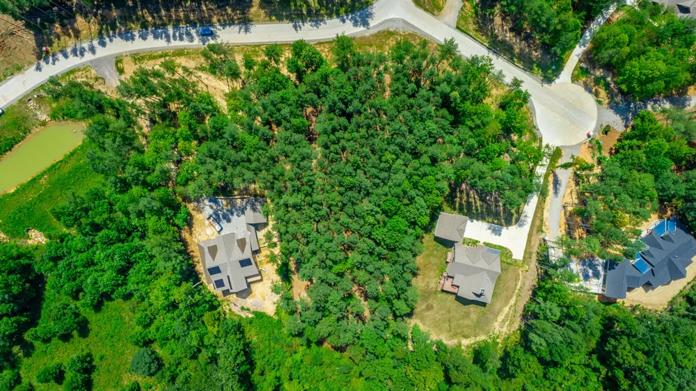 Birds Eye Way Guild, TN 37340