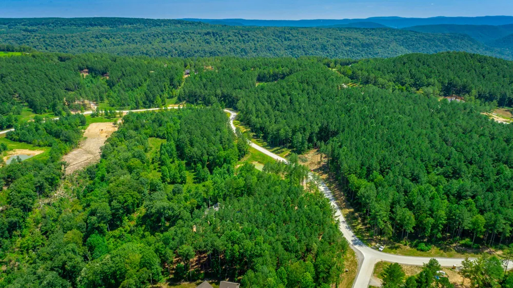 Birds Eye Way Guild, TN 37340
