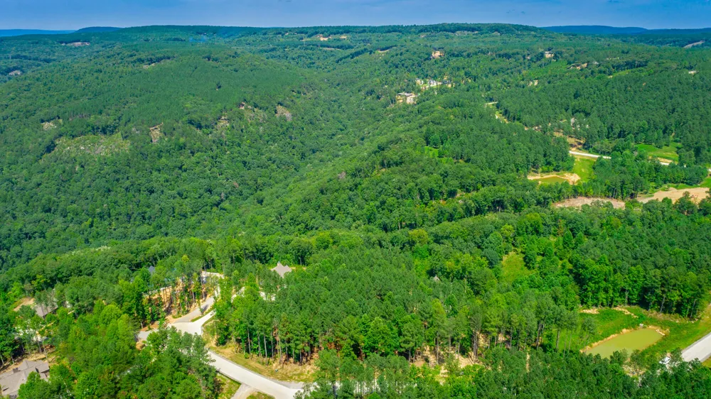 Birds Eye Way Guild, TN 37340