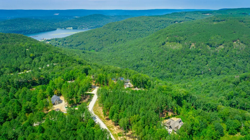 Birds Eye Way Guild, TN 37340