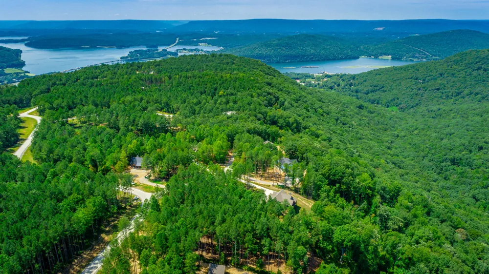 Birds Eye Way Guild, TN 37340