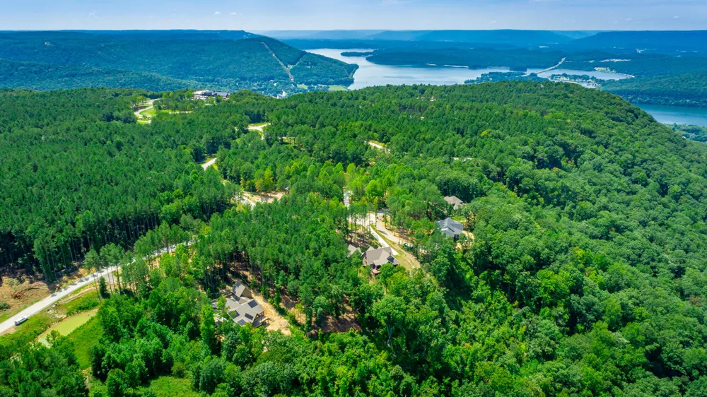 Birds Eye Way Guild, TN 37340