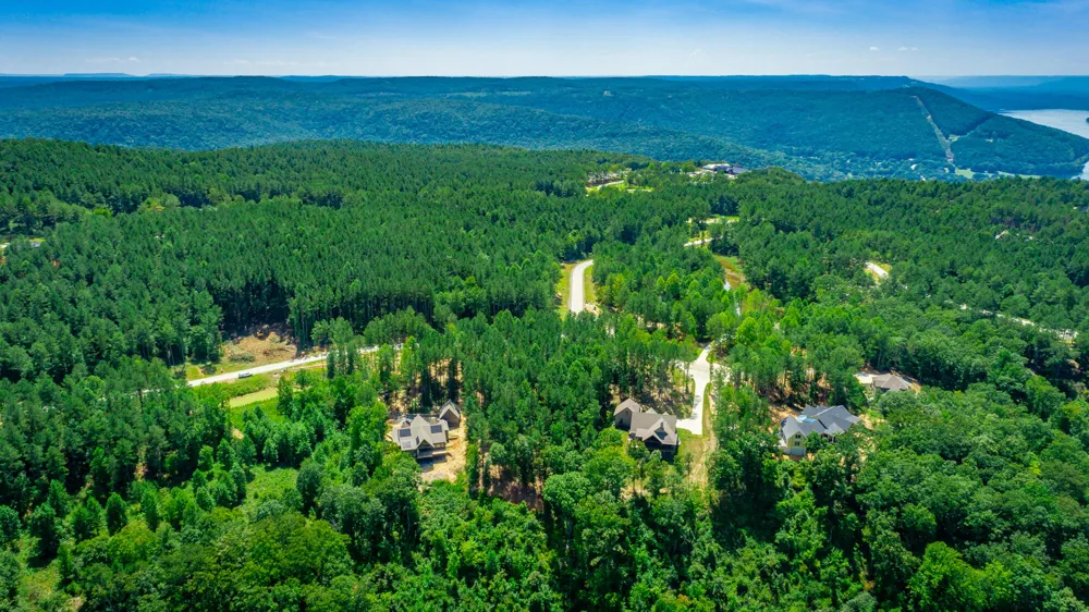 Birds Eye Way Guild, TN 37340