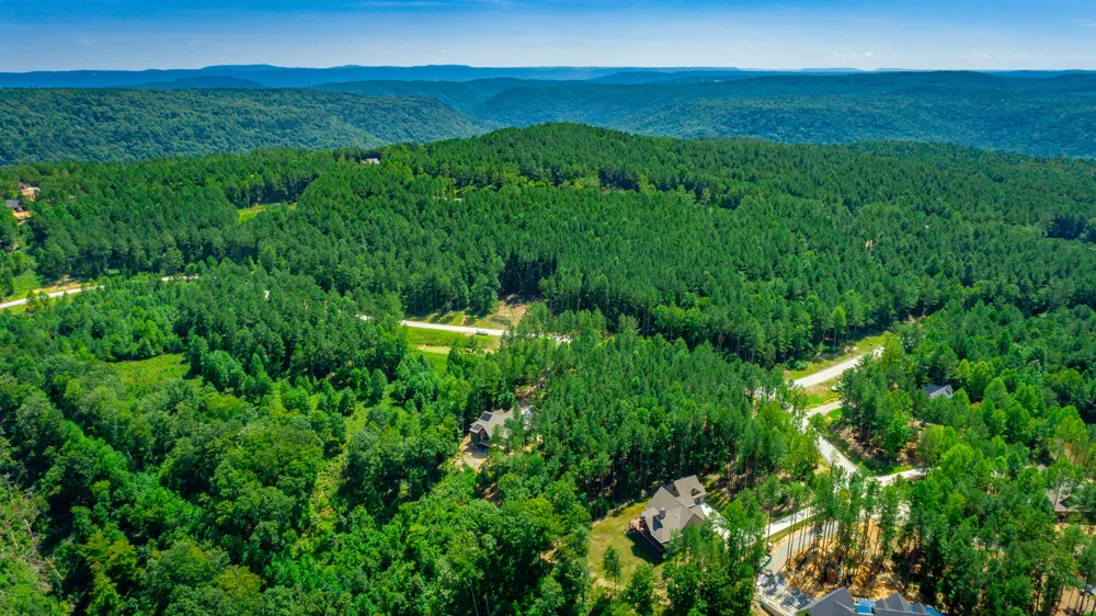 Birds Eye Way Guild, TN 37340