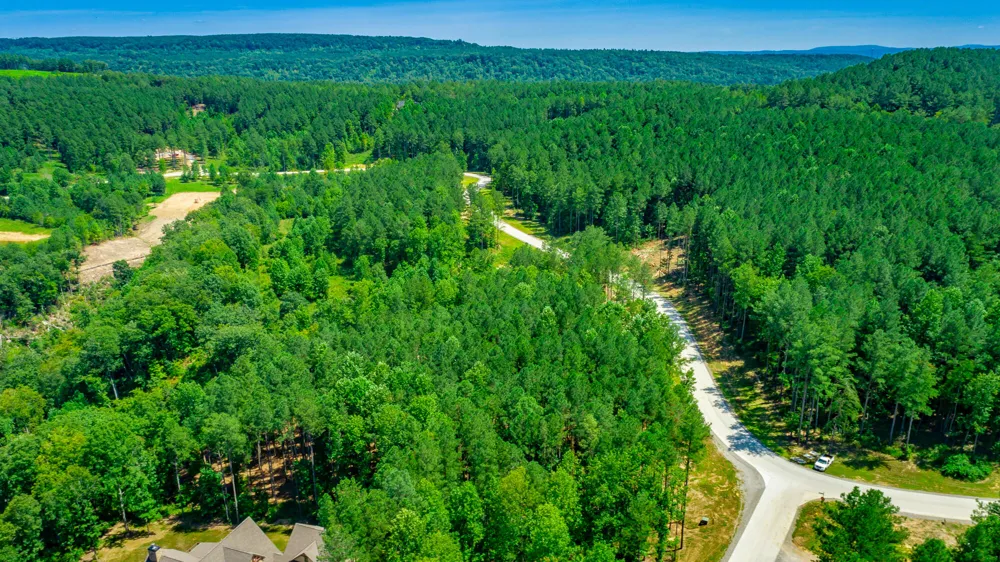 Birds Eye Way Guild, TN 37340