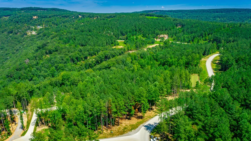 Birds Eye Way Guild, TN 37340
