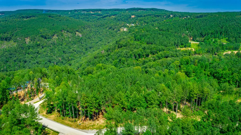 Birds Eye Way Guild, TN 37340