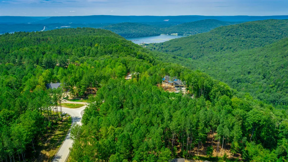 Birds Eye Way Guild, TN 37340
