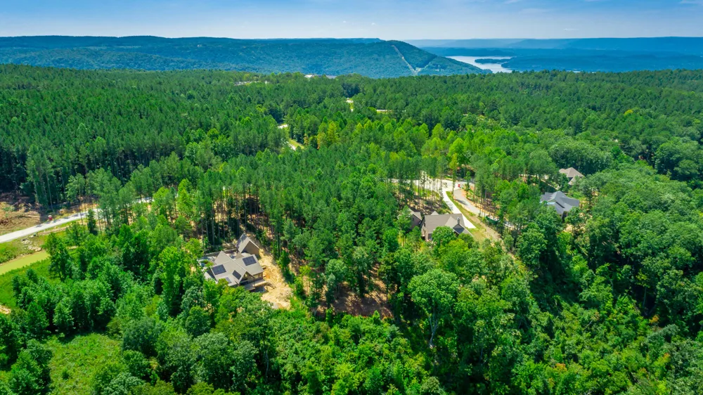Birds Eye Way Guild, TN 37340