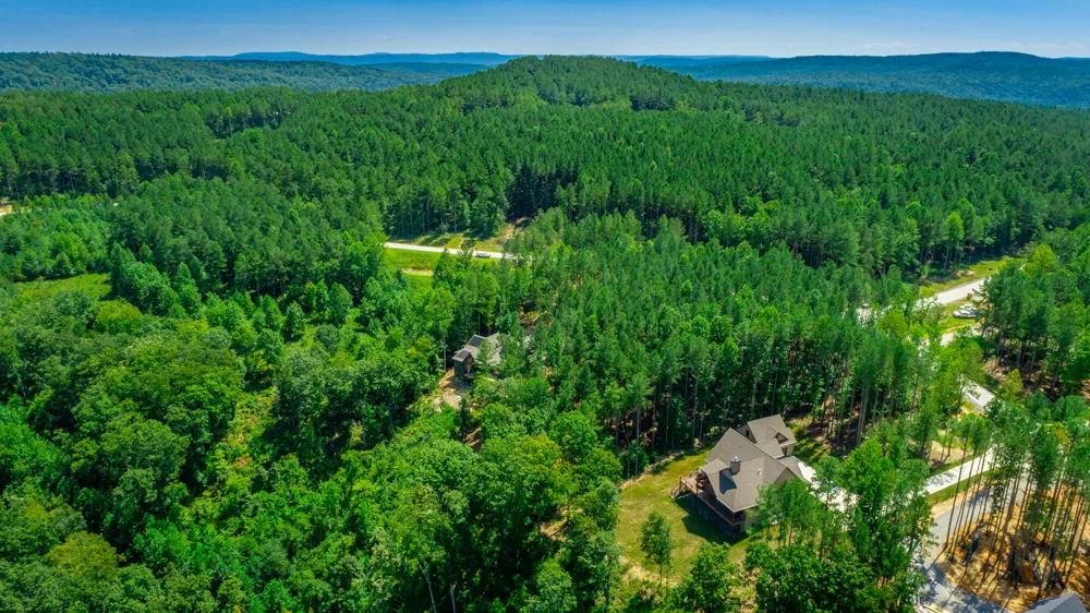 Birds Eye Way Guild, TN 37340