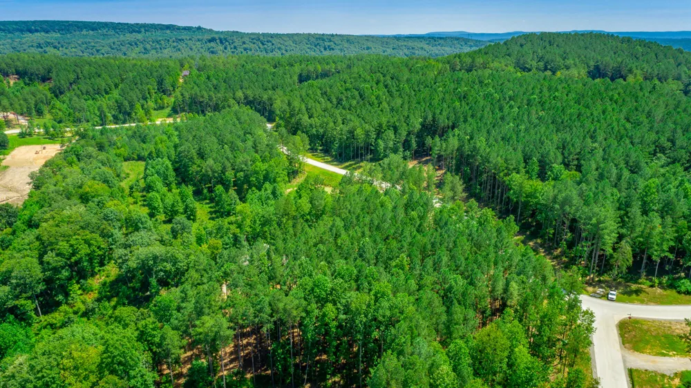 Birds Eye Way Guild, TN 37340