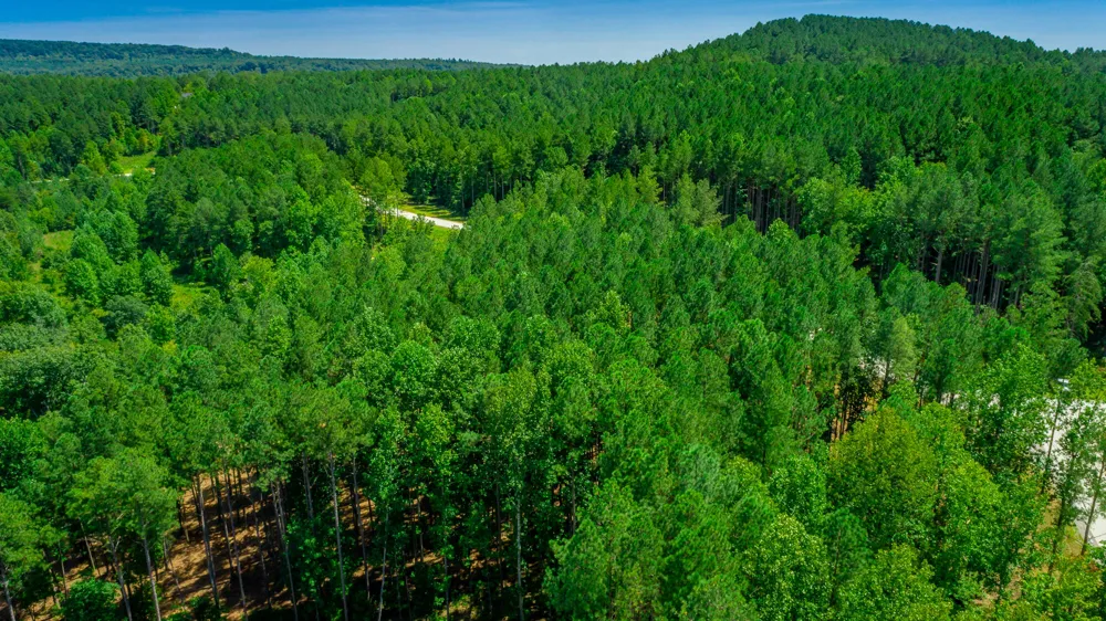 Birds Eye Way Guild, TN 37340