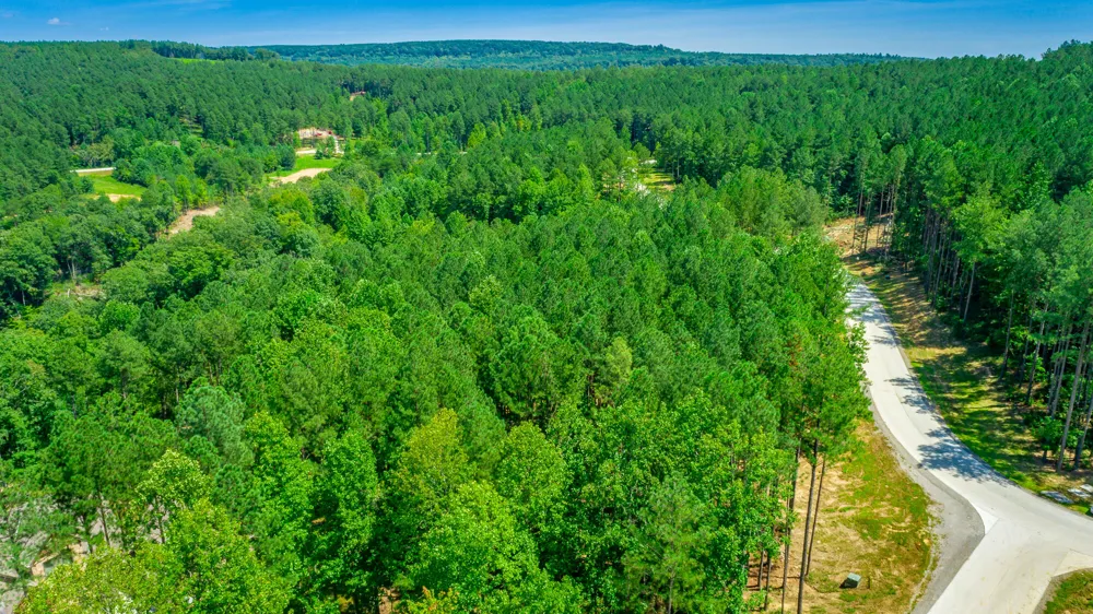 Birds Eye Way Guild, TN 37340